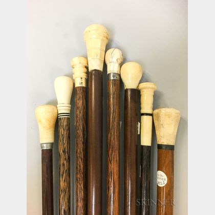 Eight Wood and Whale Ivory Canes