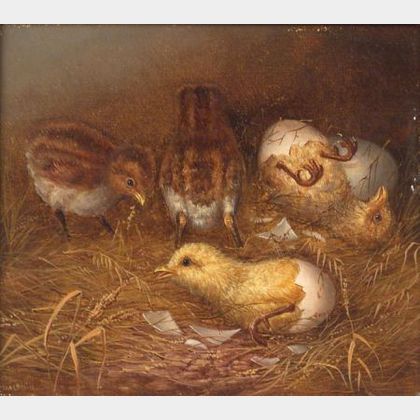 Howard L. Hill (England, d. 1870) Chick Hatchlings.