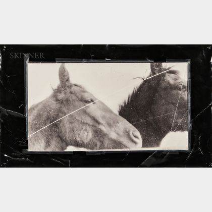 Doug and Mike Starn (American, b. 1961) Horses