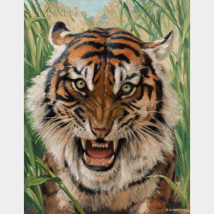 Robert Bruce Horsfall (American, 1869-1948) Tiger Head