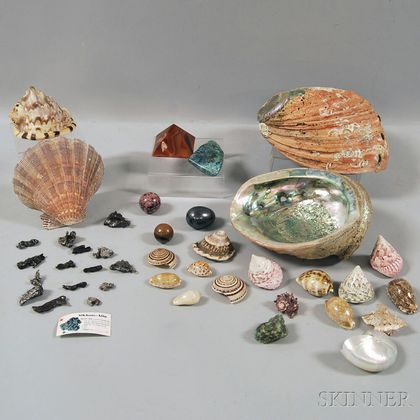 Collection of Eighteen Assorted Seashells and Five Polished Hardstone Ornaments. Estimate $200-250