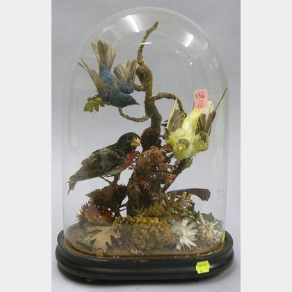 Victorian Glass Domed Three-Bird Diorama