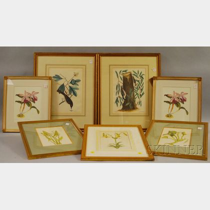 Seven Framed Botanical and Ornithological Prints