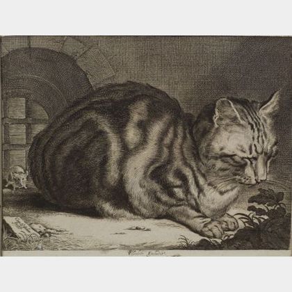 Cornelis Visscher (Dutch, 1586-1658) The Large Cat, 