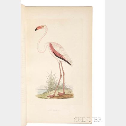 Bree, Charles Robert (1811-1886) A History of the Birds of Europe Not Observed in the British Isles.
