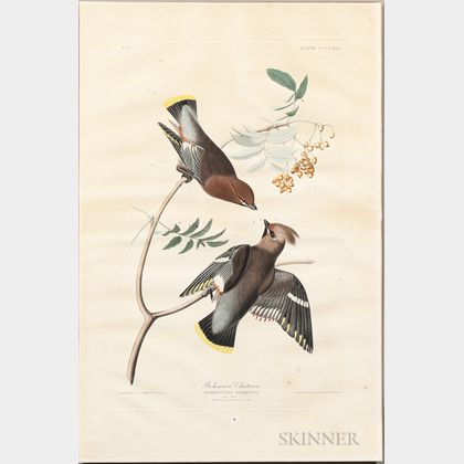 Audubon, John James (1785-1851) Bohemian Chatterer, [Cedar Waxwing], Plate 363.