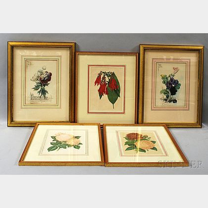 Five Botanical Prints: Anemones, Roses