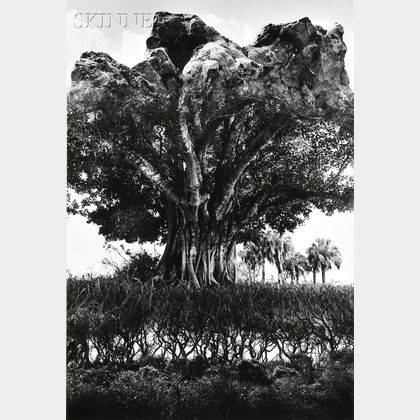Jerry Uelsmann (American, b. 1934) Rock-Tree