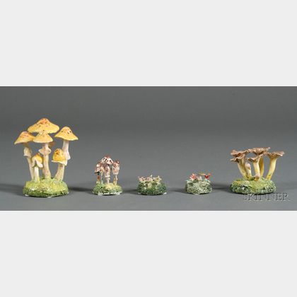 Five Maria Maravigna Mushrooms