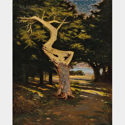 Richard Langtry Partington (American, 1868-1929) Ghost Tree, 17 Mile Drive