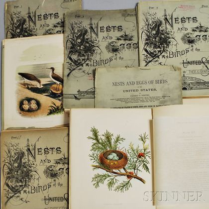 Partial Set of Thomas Gentry's Nests and Eggs of Birds of the United States