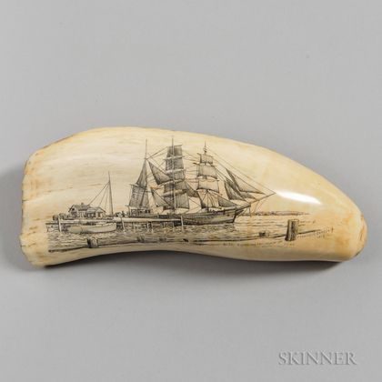 "Bark Sunbeam Last Voyage 1911" Scrimshaw Whale's Tooth