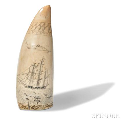 Scrimshaw Whale's Tooth Decorated with a Whaling Scene