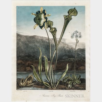 Thornton, Robert John (1768-1837) American Bog-Plants.