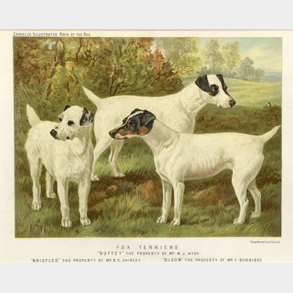 Six Framed Colored Lithographs of Dogs
