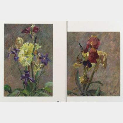 J. Alfonso (Chilean-Australian, b. 1934) Lot of Two Floral Still Lifes with Iris