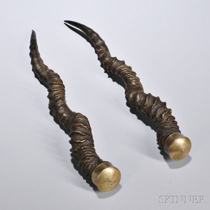 Blackbuck Antelope Horns, 19th century, mounted with brass caps, lg. 15 1/2 in. 