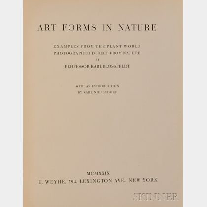 Blossfeldt, Karl (1865-1932) Art Forms in Nature