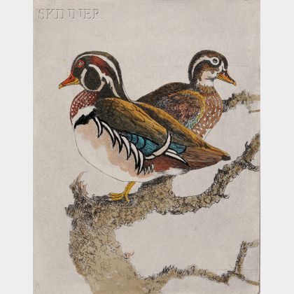 Benson Bond Moore (American, 1882-1974) Five Ornithological Subjects: Ring-necked Pheasant