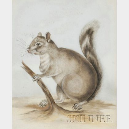 Continental Painted Glass Picture of a Squirrel in a Landscape