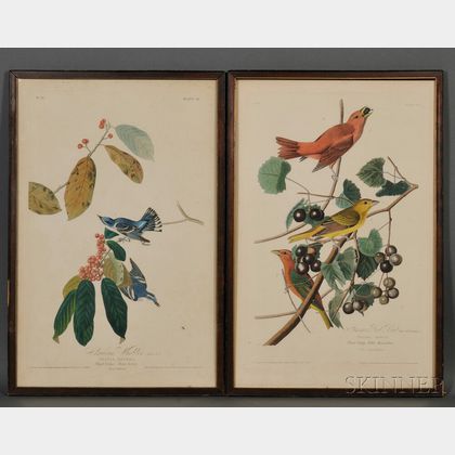 Audubon, John James (1785-1851) Summer Red Bird [and] Cerulean Warbler