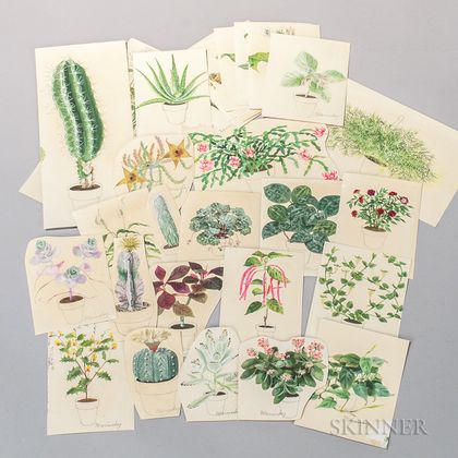 Marinsky, Harry (1909-2008) Forty-eight Original Watercolors of Plants [from] The Womans Day Book of House Plants, by Jean Hersey, c. 