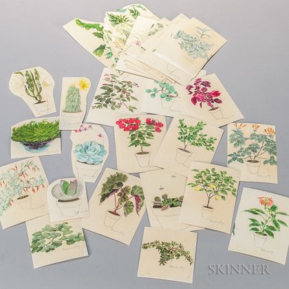 Marinsky, Harry (1909-2008) Forty-nine Original Watercolors of Plants [from] The Womans Day Book of House Plants, by Jean Hersey, c. 1 