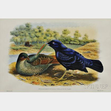 Gould, John (1804-1881) Three Framed Bird Prints.