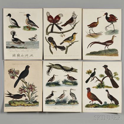 Bird Prints, Nineteen.