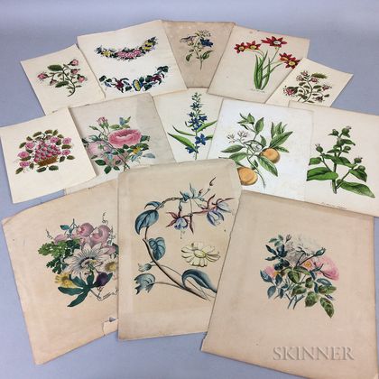 Twelve Floral Watercolors and Hand-colored Engravings. Estimate $200-250