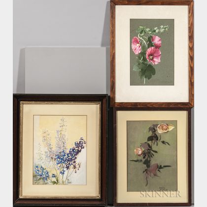 American School, 20th Century Three Framed Works on Paper: Roses , Delphinium