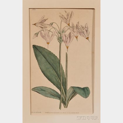 Group of Fourteen Small Hand-colored Botanical Bookplates