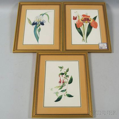Three Framed 19th Century Botanical Watercolors
