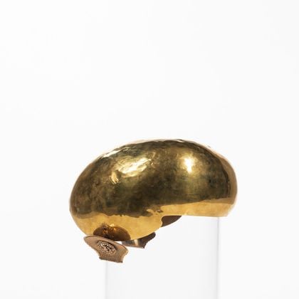 Dutch Gold Ear Iron (Oorijzer )
