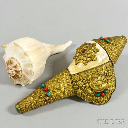 Religious Conch Shell Shanka and a Plain Conch Shell