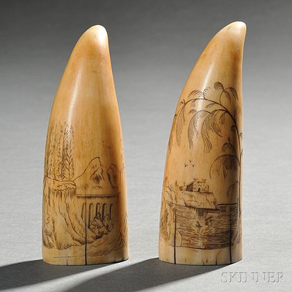 Pair of Small Scrimshaw Whale's Teeth