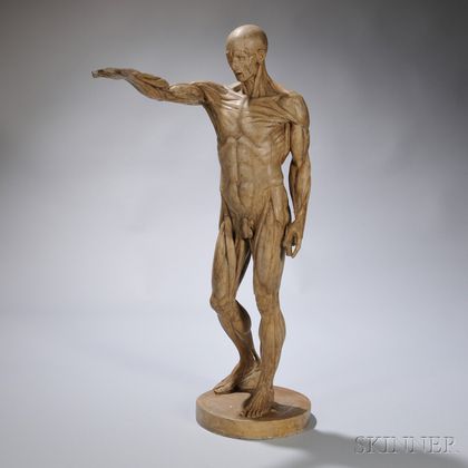 Plaster Anatomical Statue of a Man