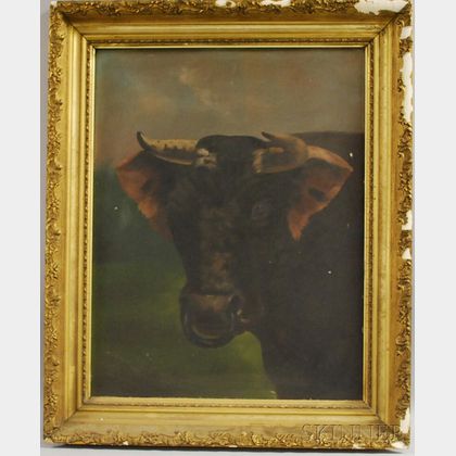 American School, 19th Century Portrait Head of a Bull.