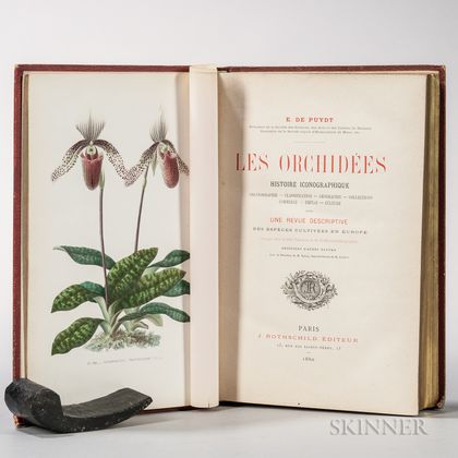 Puydt, Paul Émile de (1810-1891) Les Orchidees.