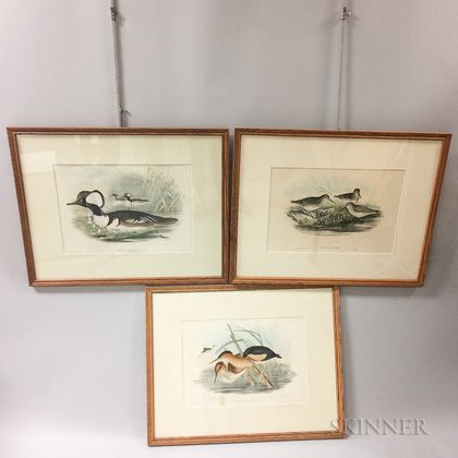 Six Framed Reproduction Gould Bird Prints