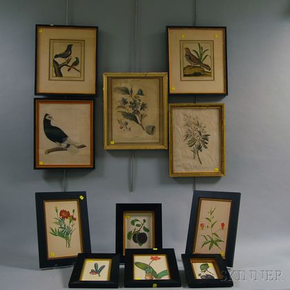 Eleven Framed Ornithological and Botanical Prints