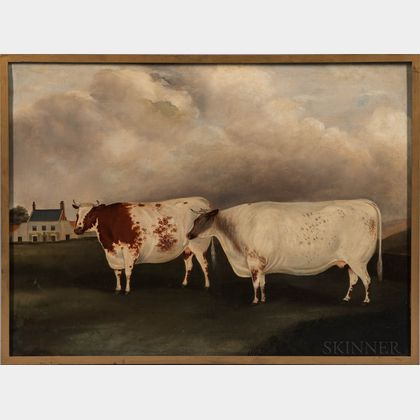 Anglo/American School, 19th Century Portrait of Two Cows