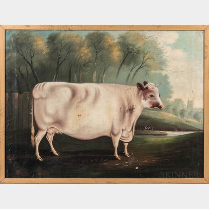 American School, 19th Century Portrait of a White Cow