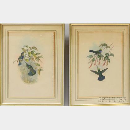 Pair of Framed Gould Richter Bird Prints