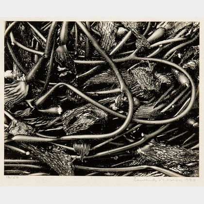 Edward Weston (American, 1886-1958) Kelp