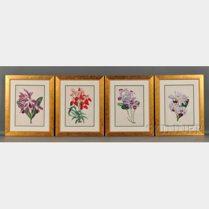 Four Hand-colored Lithograph Book Illustrations of Orchids
