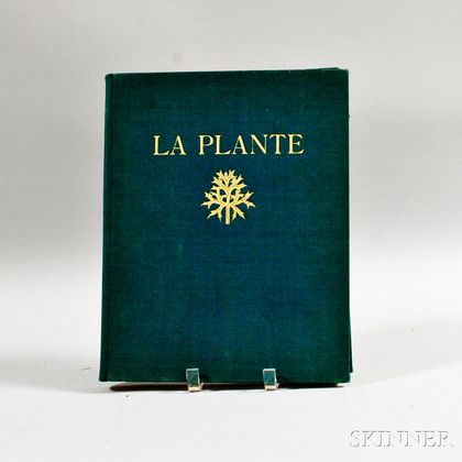Charles Blossfeldt's La Plante .