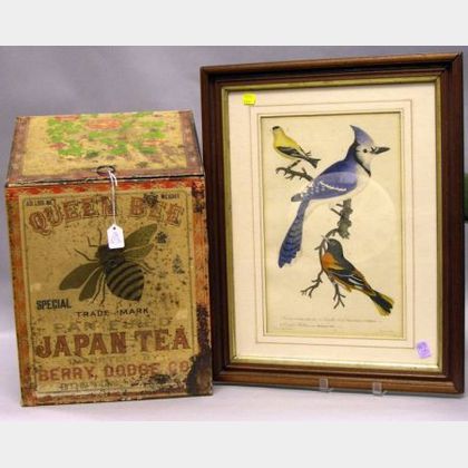 Queen Bee Japan Tea Lithographed Retail Bin and Walnut Framed Bird Print