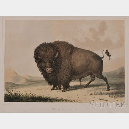 (Natural History, American West),Catlin, George (1796-1872)