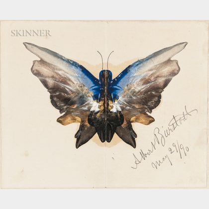 Albert Bierstadt (American, 1830-1902) Butterfly